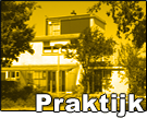 praktijk